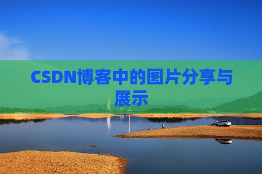 CSDN博客中的图片分享与展示